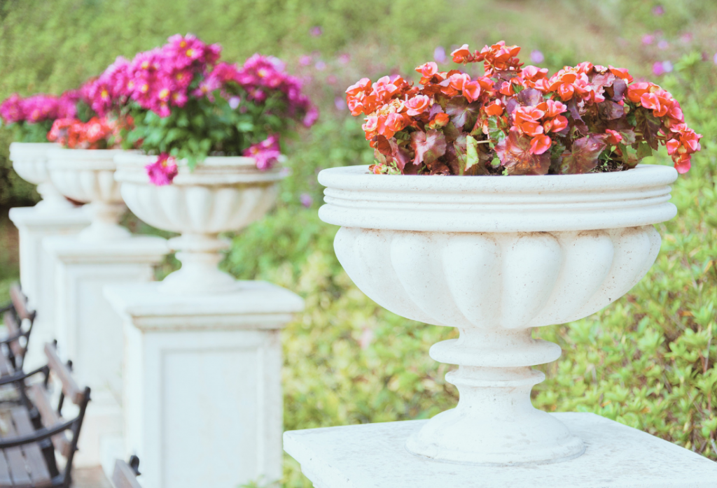Row of white urn planters filled with colourful flowers