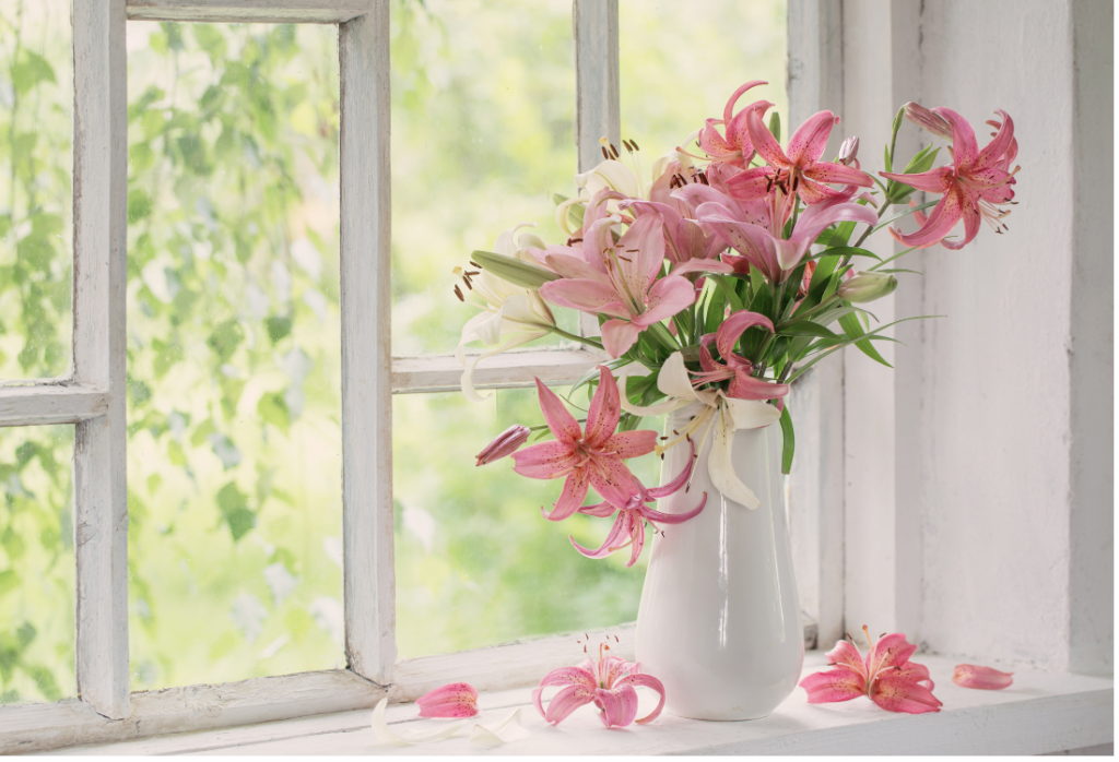 Pink flowers in a white vase