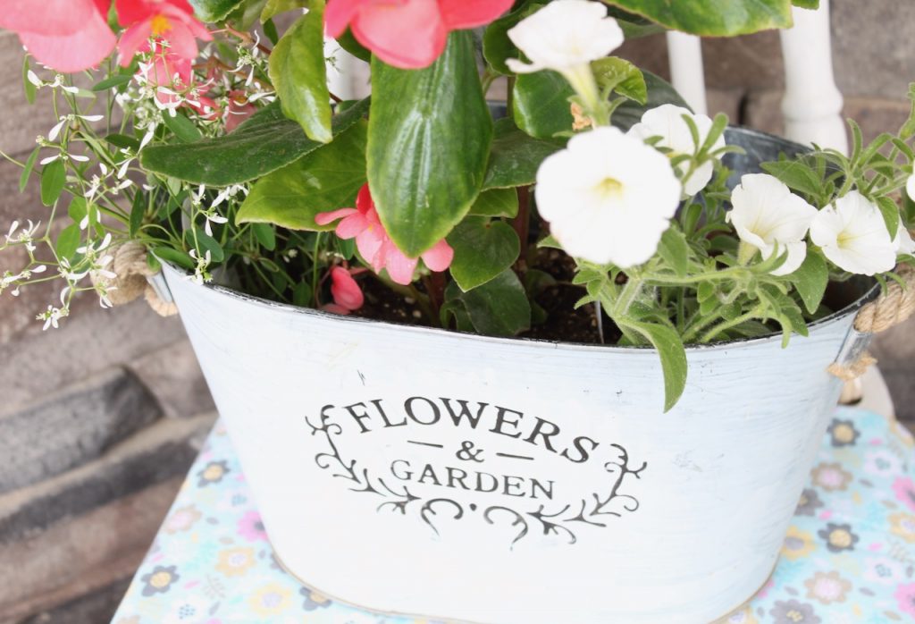 White tin flower pot filled with flowers