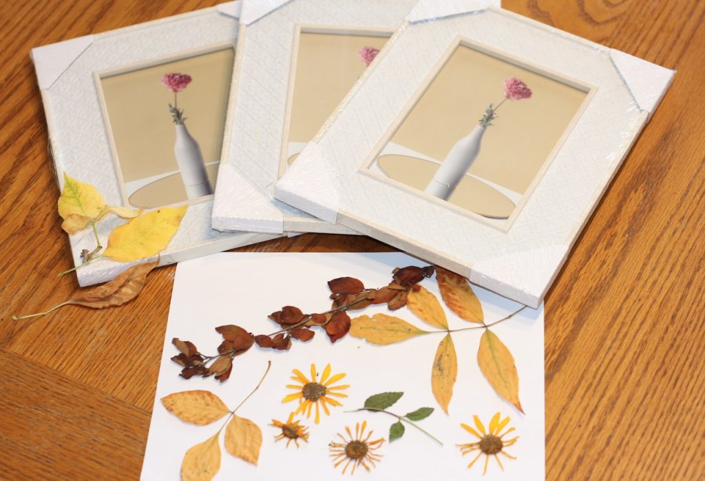 3 white frames by pressed fall foliage