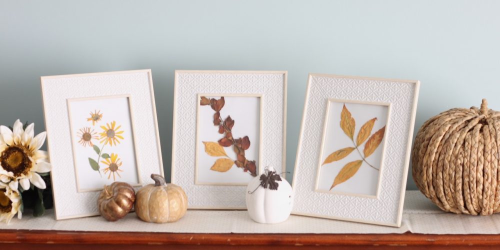 Art project for fall with pressed flower art