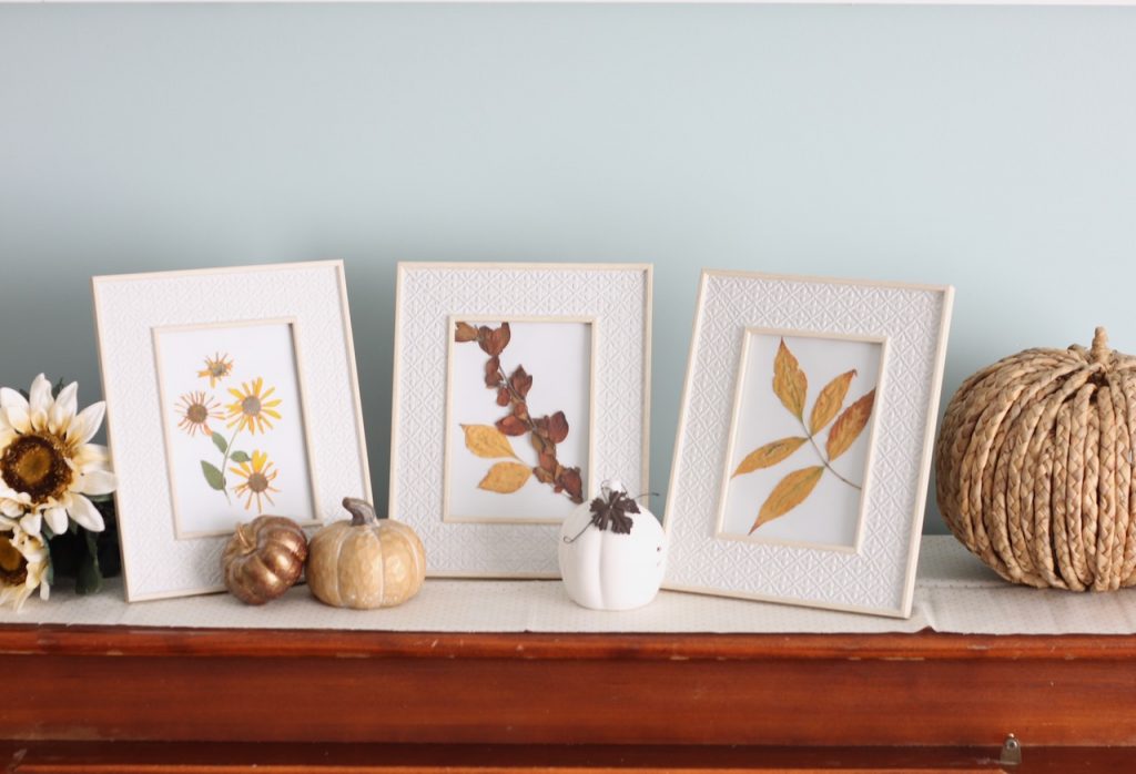 Art project for fall with pressed flower art