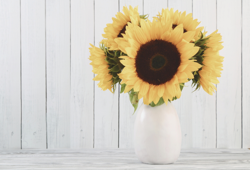 Bouquet of nature fall sunflowers in white vase in a home
