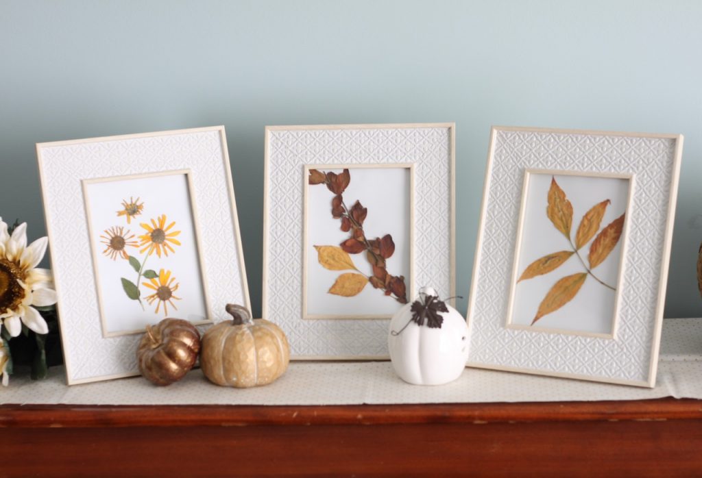 Pressed fall art displayed in white frames