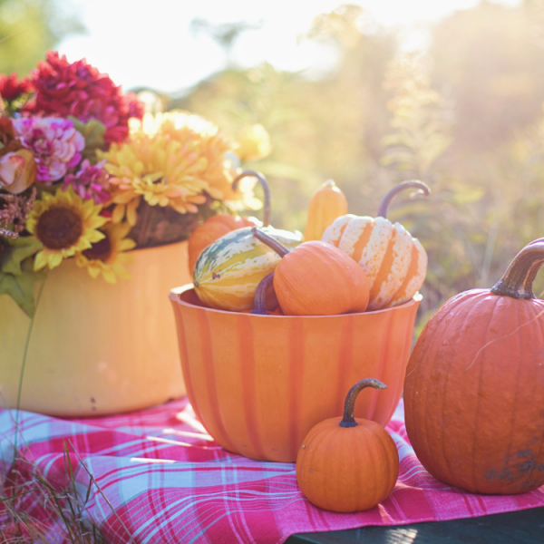 Tips for bringing a hint of fall nature into your home