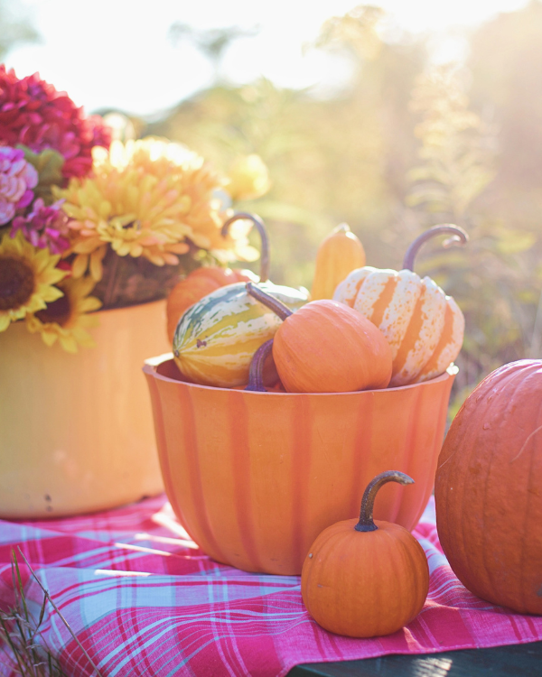 Tips For Bringing a Hint of Fall Nature Into Your Home