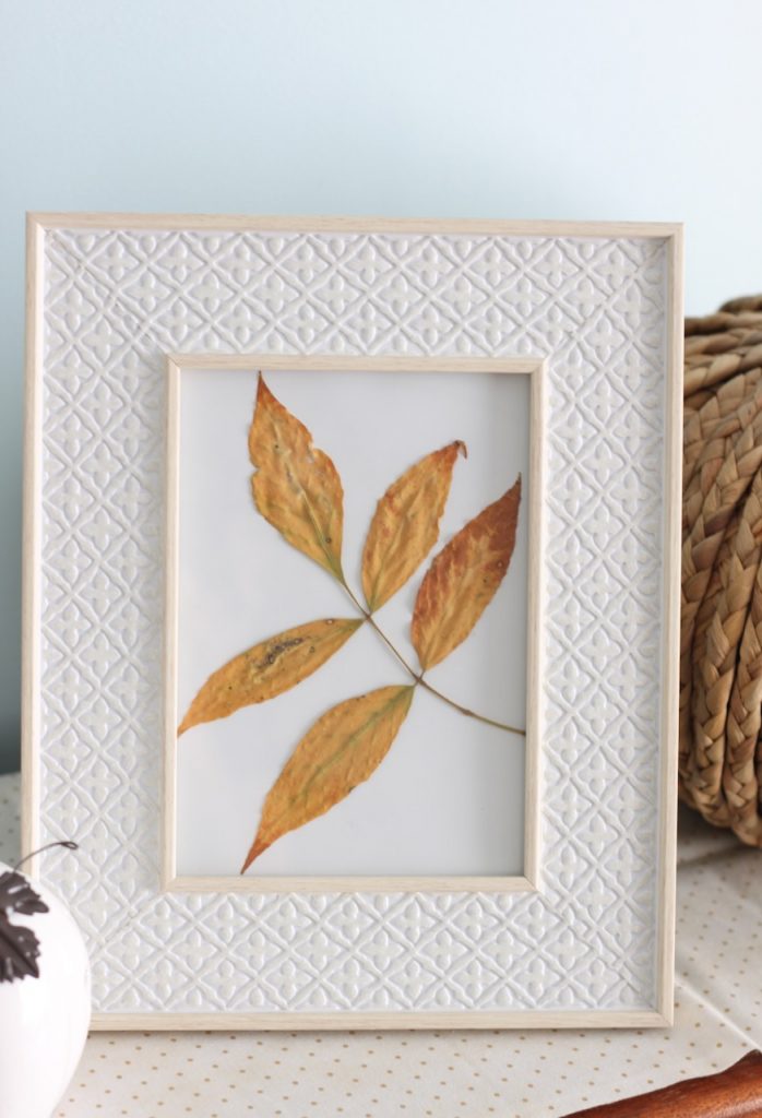Yellow fall pressed leaves in a white frame